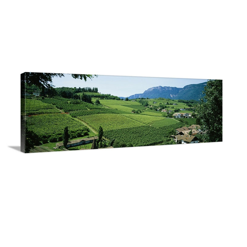 High Angle View Of Fields Bolzano Italy Wall Art - Canvas - Gallery Wrap