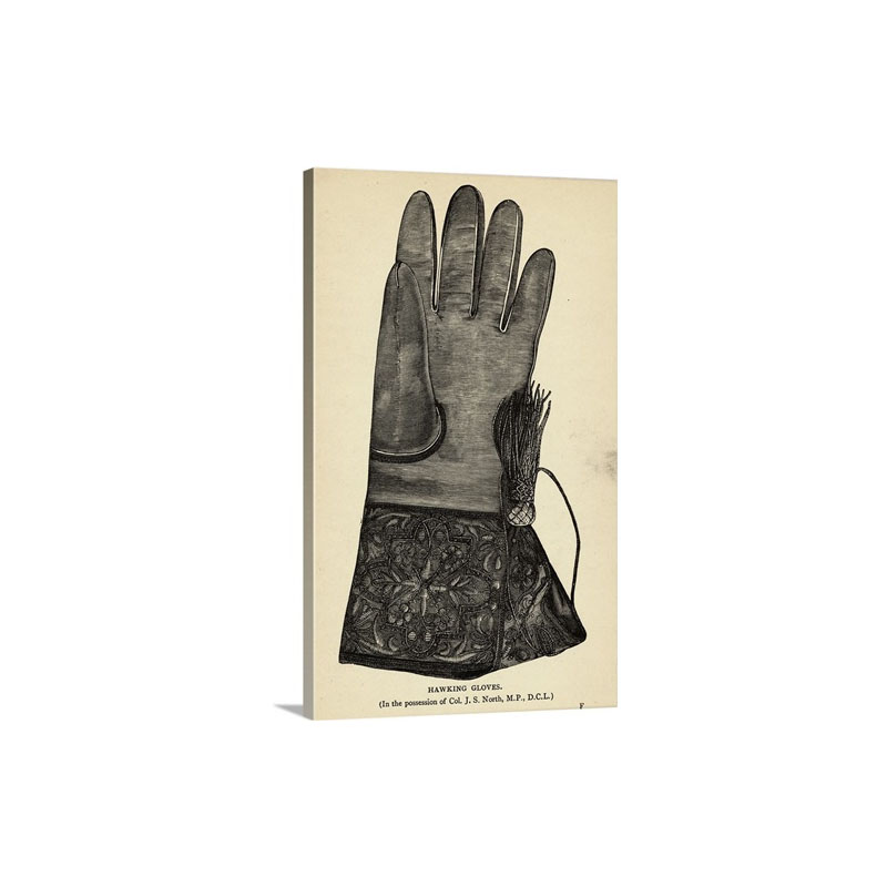 Illustration Of Hawking Glove Wall Art - Canvas - Gallery Wrap