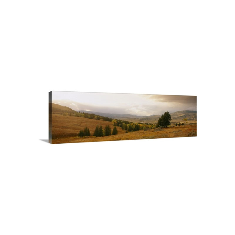 Lamar Valley Yellowstone National Park WY Wall Art - Canvas - Gallery Wrap
