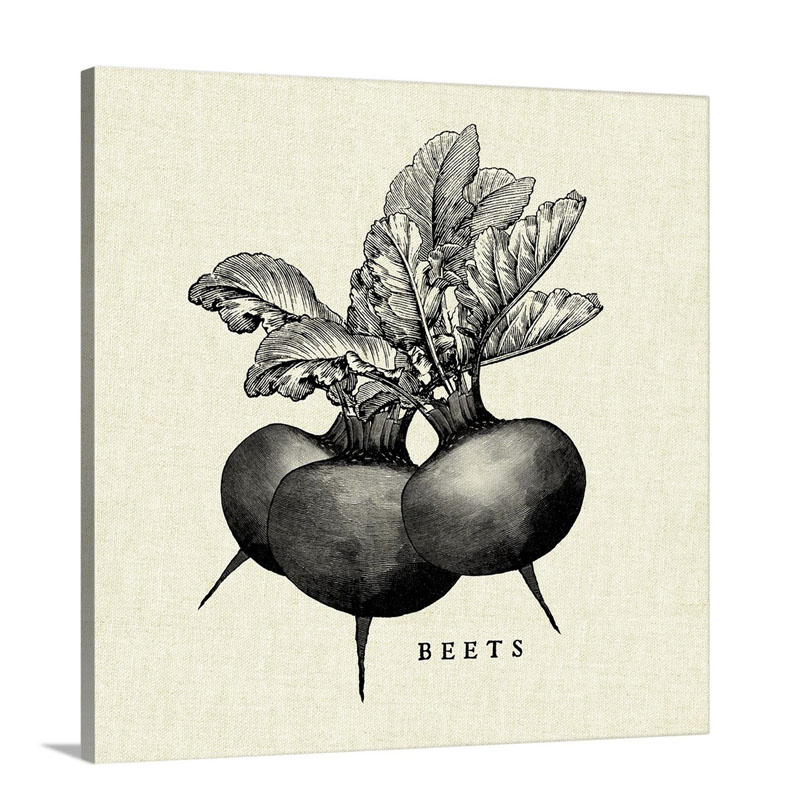 Linen Vegetable BW Sketch Beets Wall Art - Canvas - Gallery Wrap