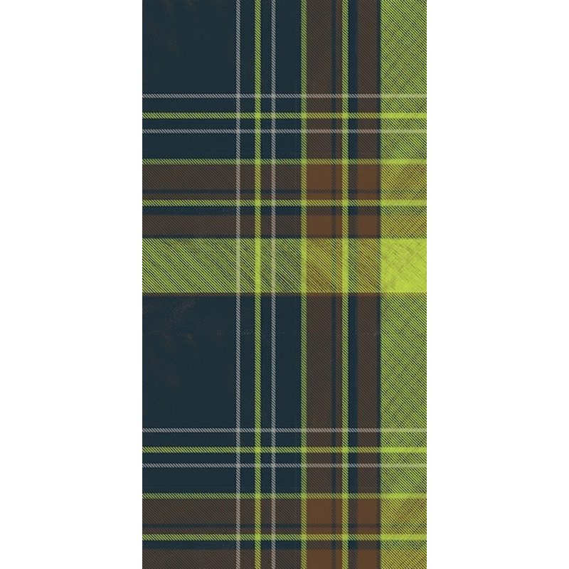 Madras Plaid In Light Green And Dark Blue