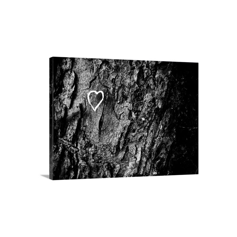 Nature Loving Graffiti On Tree In Bath Green Park Wall Art - Canvas - Gallery Wrap