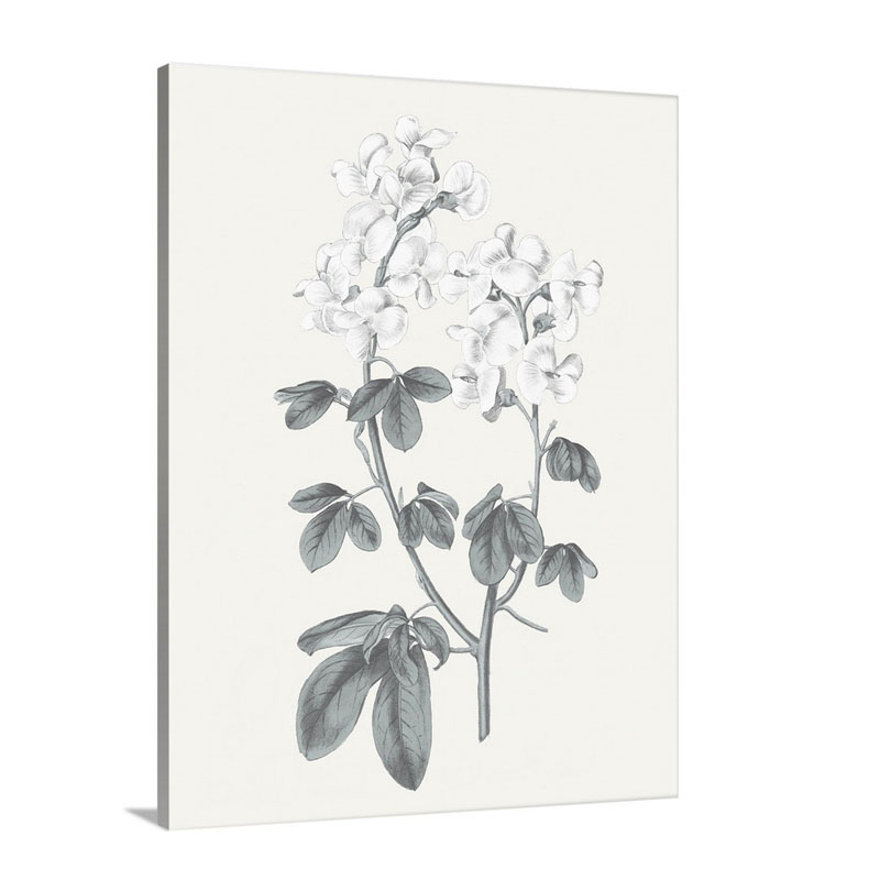 Neutral Botanical I I I Wall Art - Canvas - Gallery Wrap