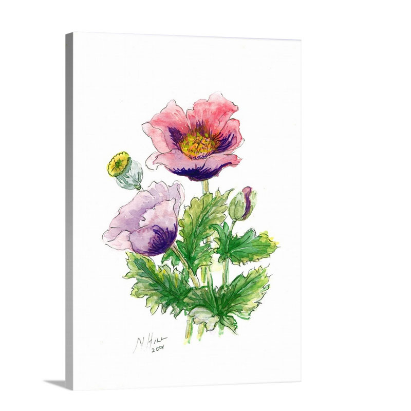 Opium Poppy 2001 Wall Art - Canvas - Gallery Wrap