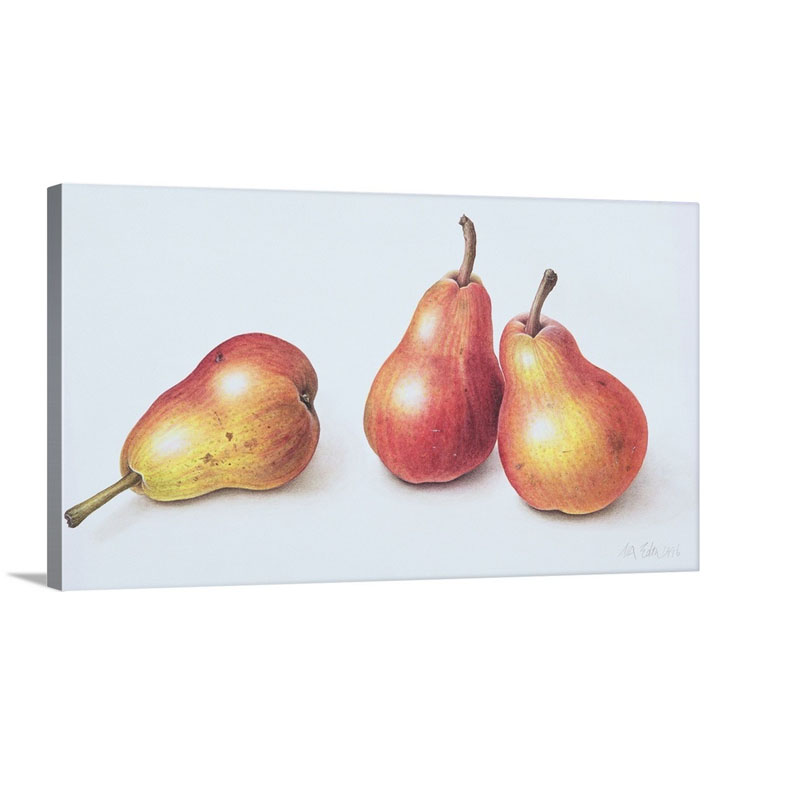 Red Pears 1996 Wall Art - Canvas - Gallery Wrap