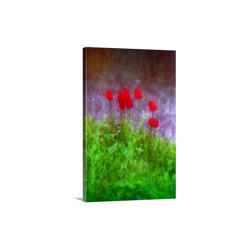 Red Tulips Wall Art - Canvas - Gallery Wrap