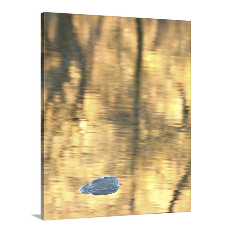 Reflections In Yellow Wall Art - Canvas - Gallery Wrap