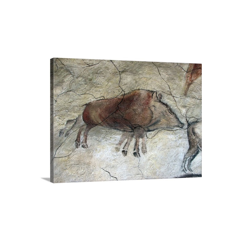 Replica Of Cave Painting Of Boar From Altamira Cave Wall Art - Canvas - Gallery Wrap