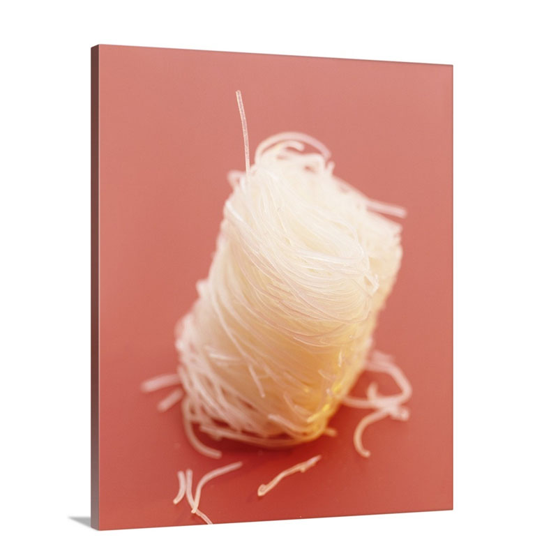 Rice Noodles Wall Art - Canvas - Gallery Wrap