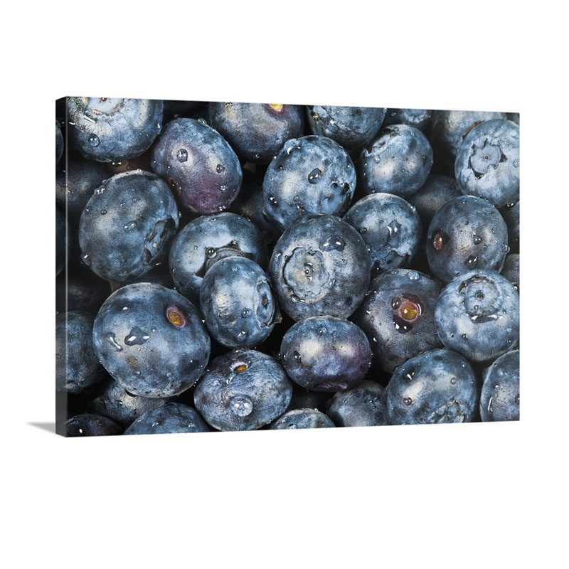 Several Fresh Blueberries Wall Art - Canvas - Gallery Wrap