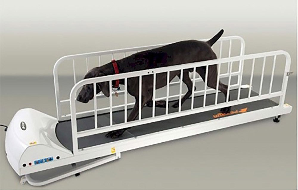 PetRun PR725 Dog Treadmill