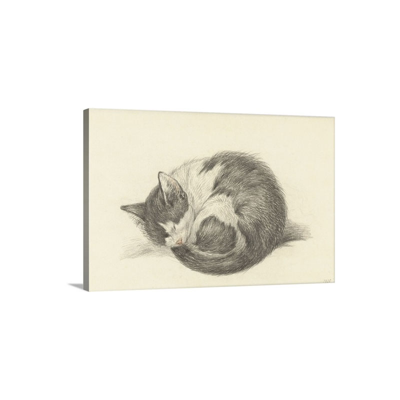 Sleeping Cat Rolled Into A Ball By Jean Bernard 1825 Dutch Chalk Drawing Wall Art - Canvas - Gallery Wrap