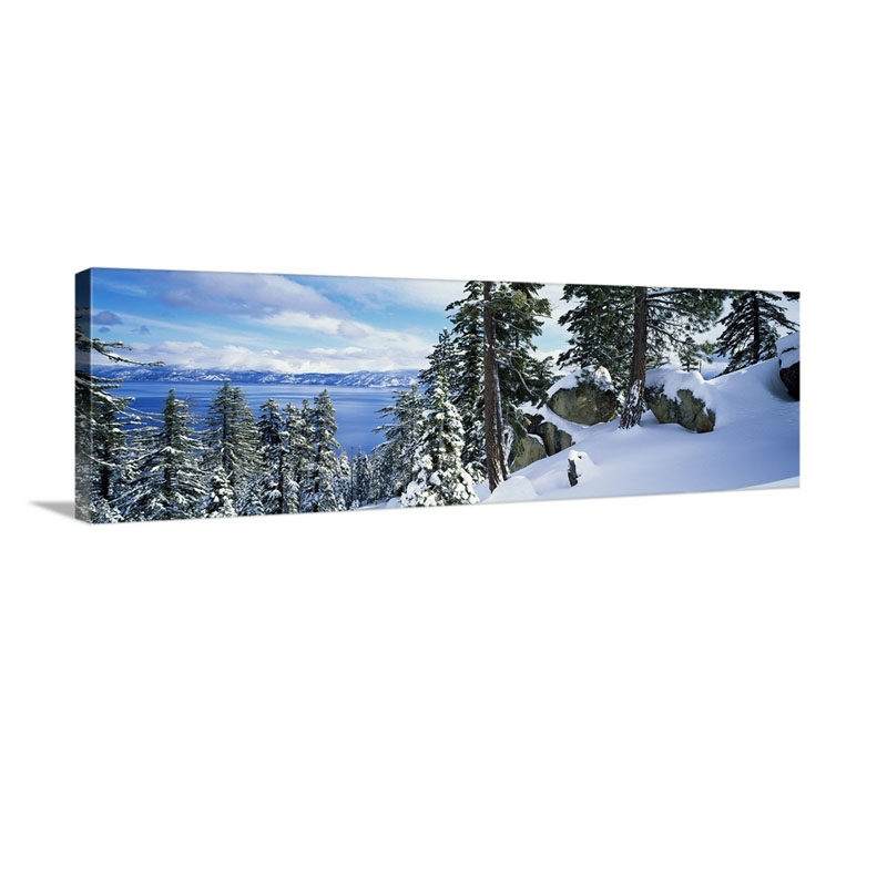 Snow Covered Trees On Mountainside Lake Tahoe Nevada Wall Art - Canvas - Gallery Wrap