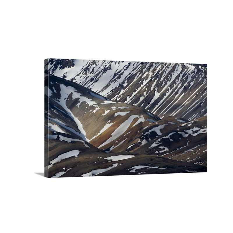 Snowy Hillsides Denali National Park Alaska Wall Art - Canvas - Gallery Wrap
