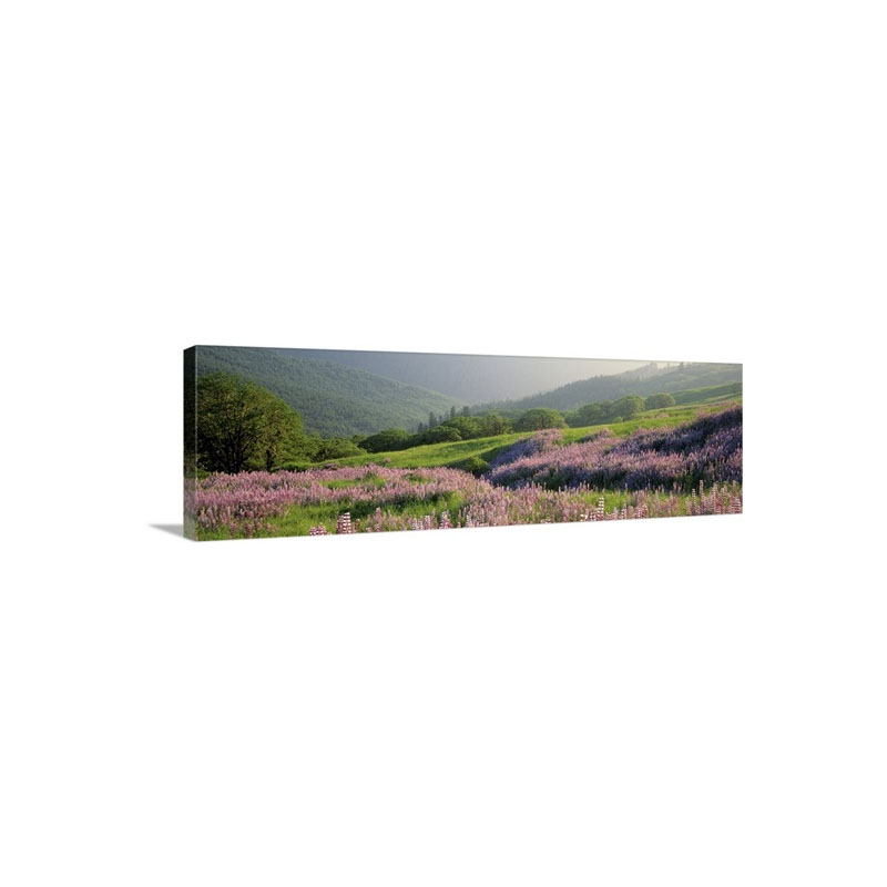 Spring Yellowstone National Park WY Wall Art - Canvas - Gallery Wrap