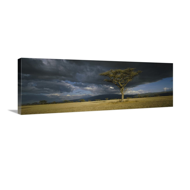 Storm Clouds Over A Landscape Tanzania Wall Art - Canvas - Gallery Wrap