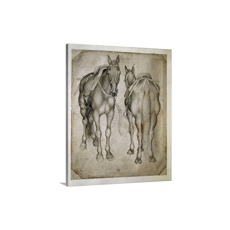 Study Of Two Horses Ca 1400 55 Drawing By Antonio Pisanello Louvre Museum Paris Wall Art - Canvas - Gallery Wrap