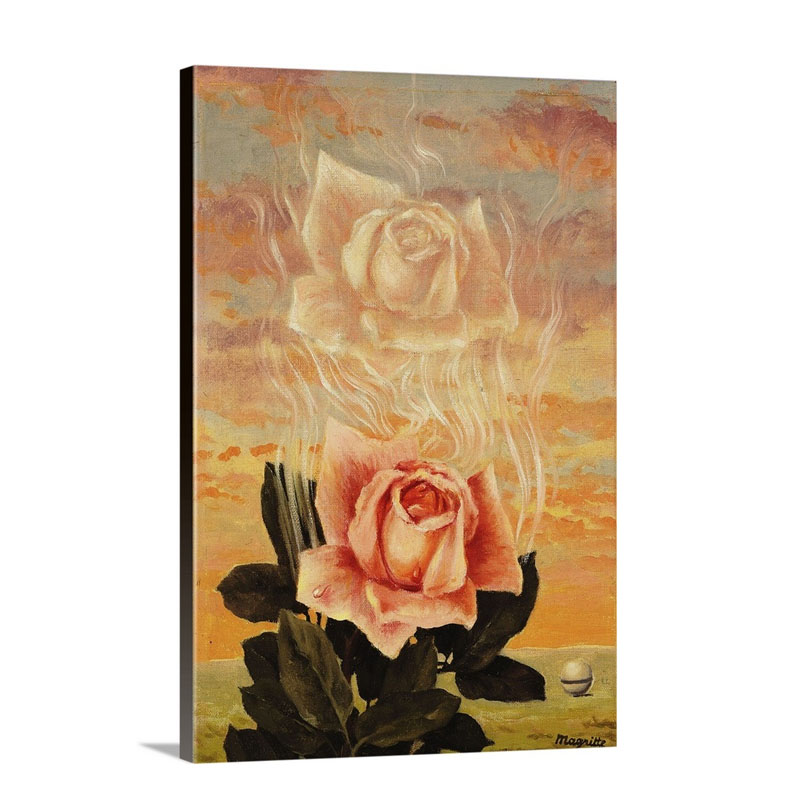 The Enchanted Domain Rose C 1957 Wall Art - Canvas - Gallery Wrap