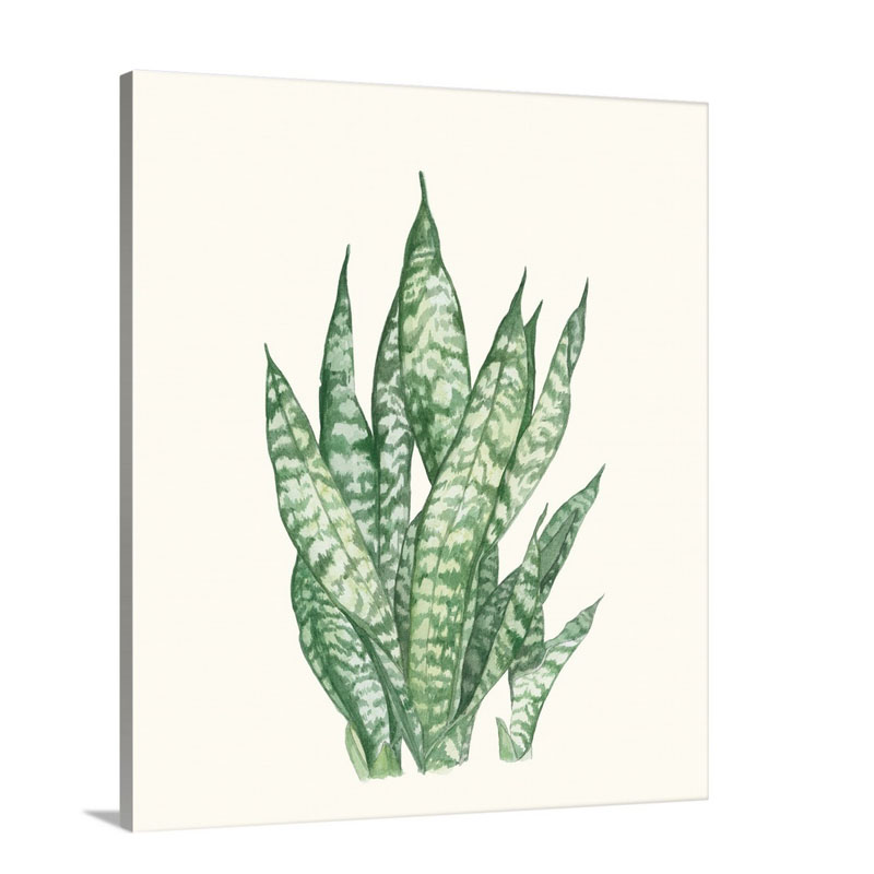 Tropical Botanicals 3 Wall Art - Canvas - Gallery Wrap