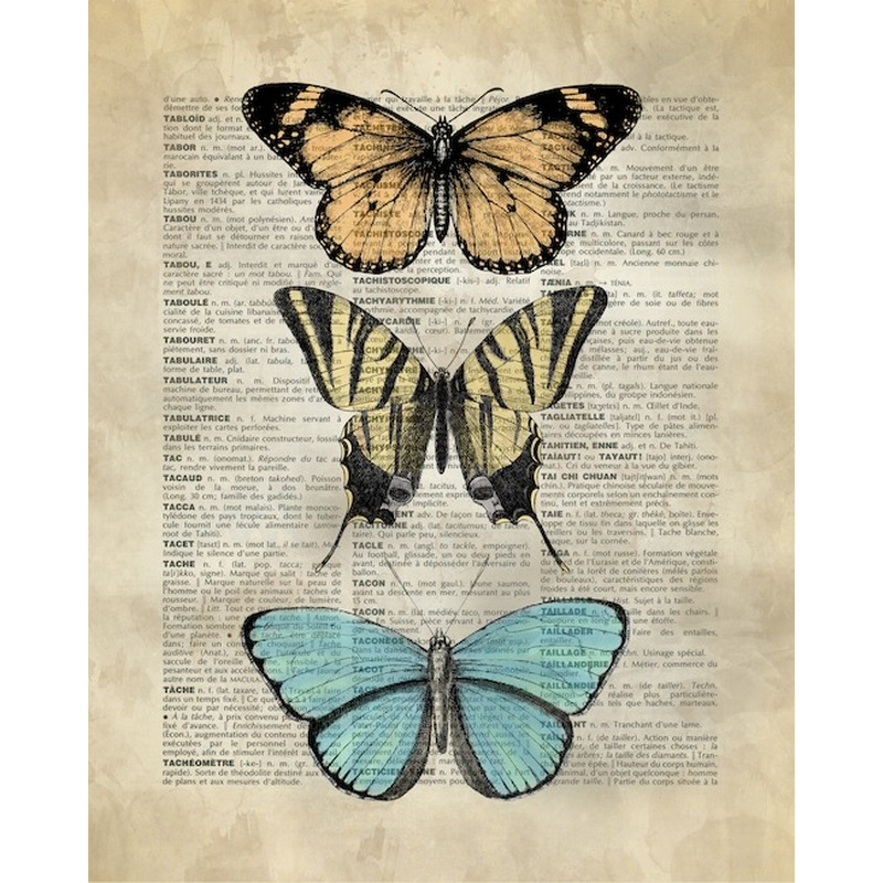 Vintage Dictionary Art Butterfly Specimen