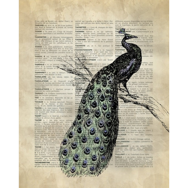 Vintage Dictionary Art Peacock