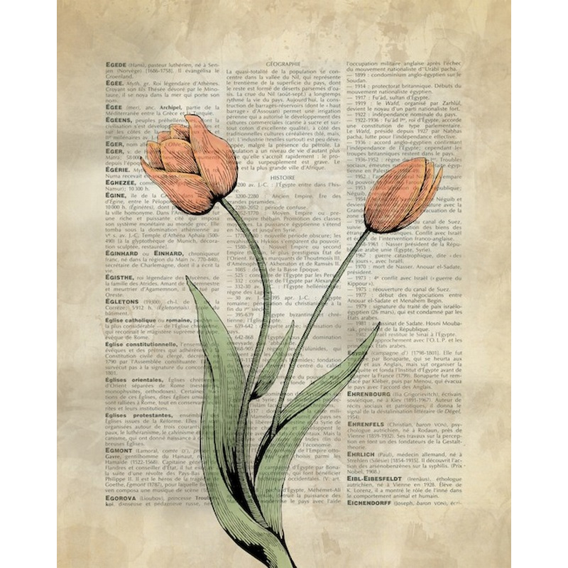 Vintage Dictionary Art Tulips