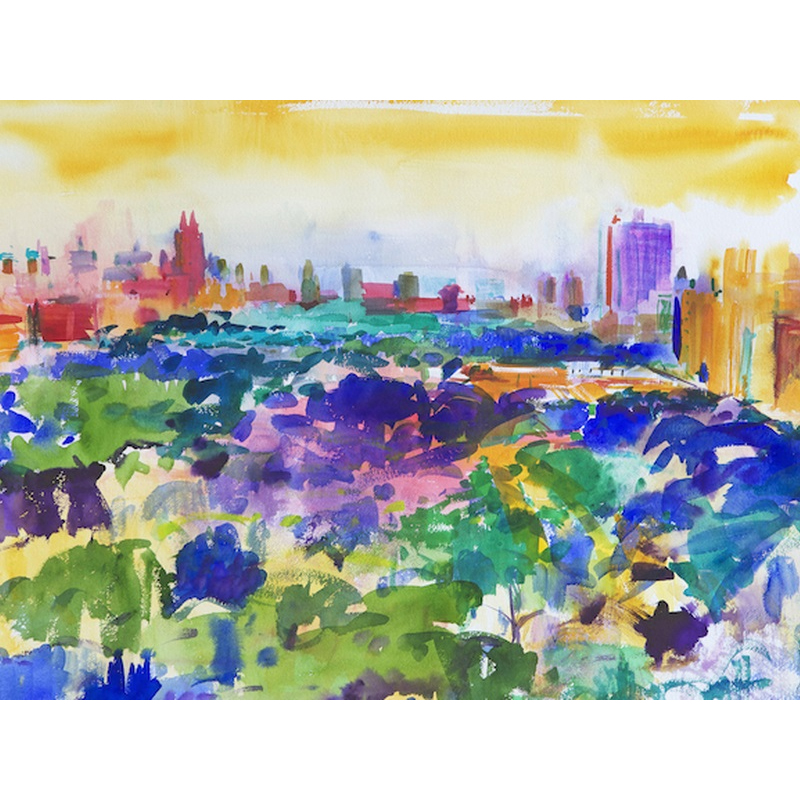 Central Park New York 2011 W C On Paper