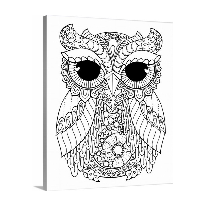 Lovely Owl