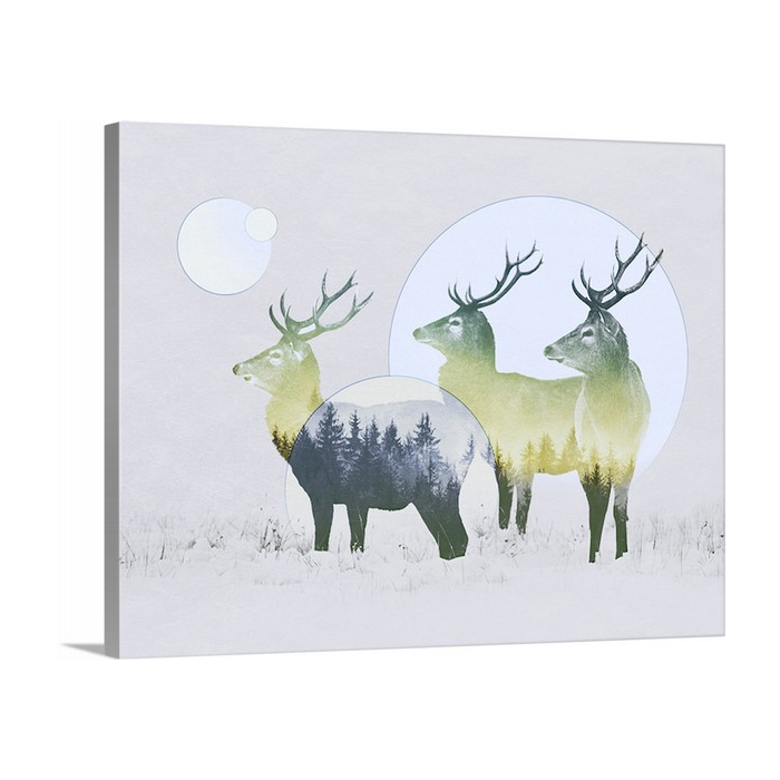 Stag Double Exposure Wildlife Art I I