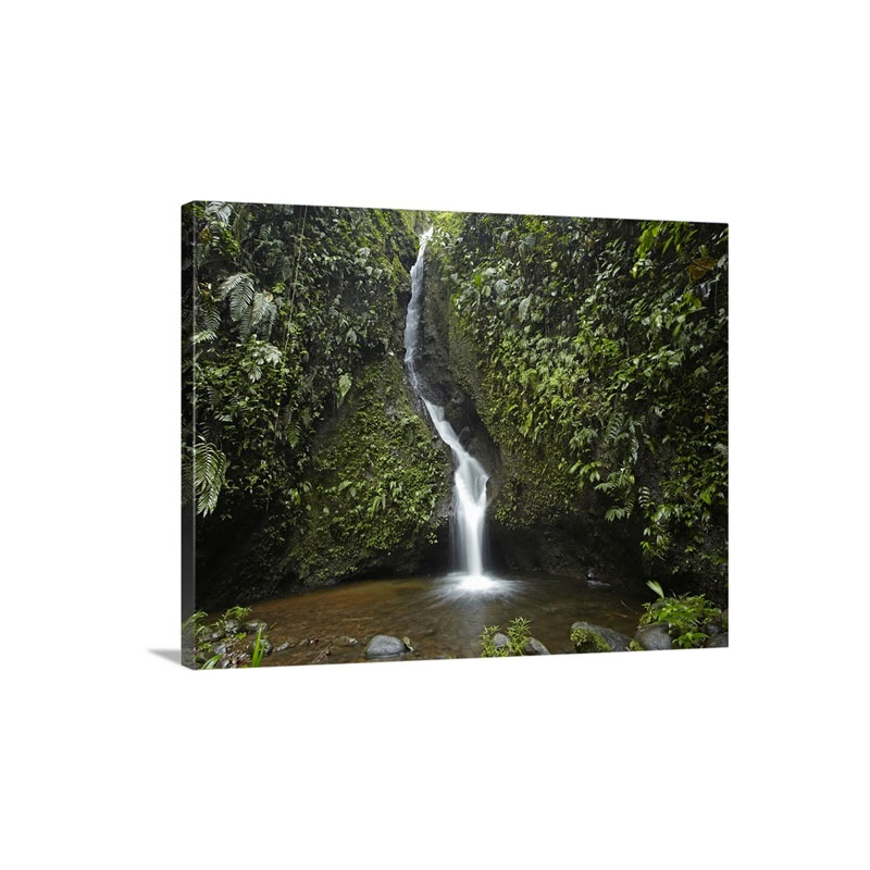 Waterfall In The Milpe Bird Sanctuary Mindo Cloud Forest Ecuador Wall Art - Canvas - Gallery Wrap
