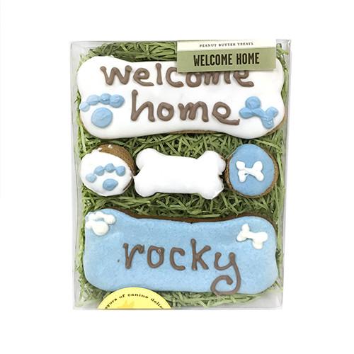 Welcome Home Box - Boy - 2 Set