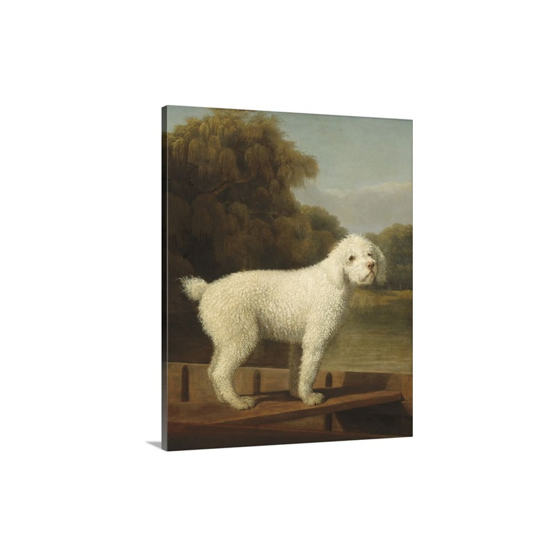 White Poodle In A Punt By George Stubbs 1780 British Painting Wall Art - Canvas - Gallery Wrap