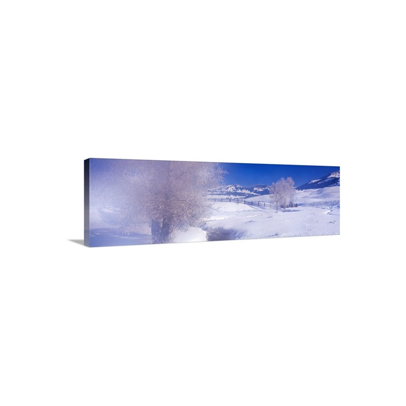 Winter Yellowstone National Park WY Wall Art - Canvas - Gallery Wrap
