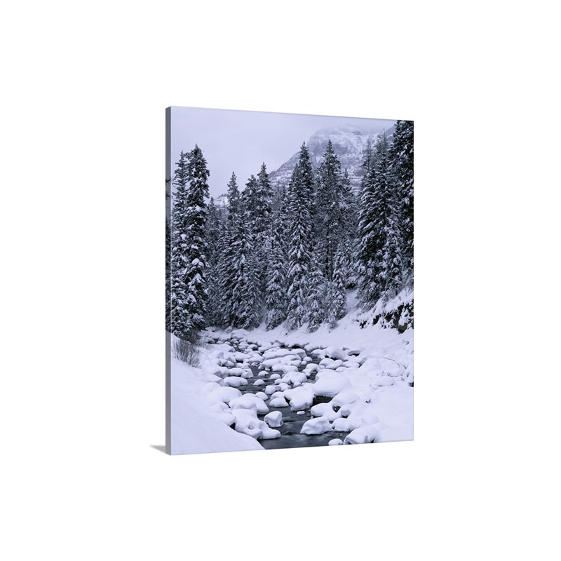Wyoming Yellowstone National Park Soda Butte Creek Stream Of Water Flowing Through Forest Wall Art - Canvas - Gallery Wrap