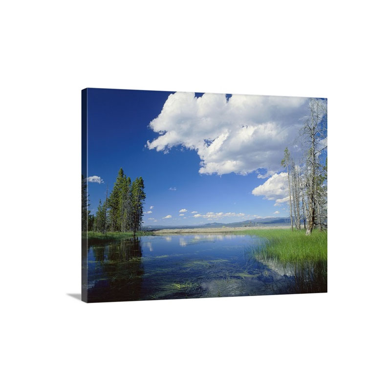 Wyoming Yellowstone National Park Yellowstone Lake Reflection Of Clouds And Trees In The Lake Wall Art - Canvas - Gallery Wrap