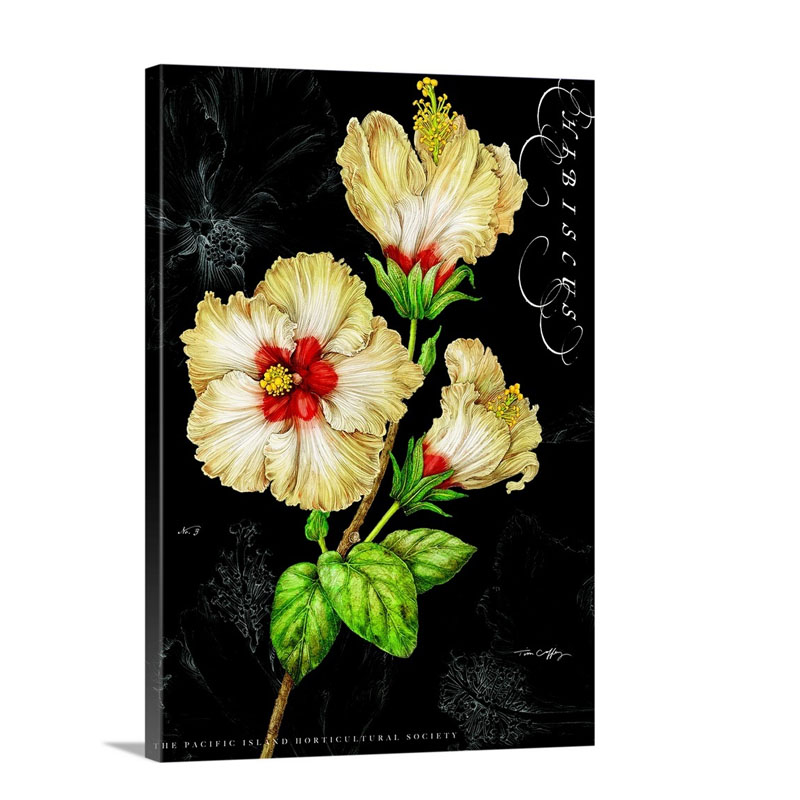 Yellow Hibiscus On Black Wall Art - Canvas - Gallery Wrap