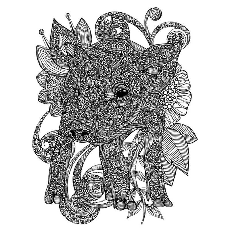 Paisley Piggy
