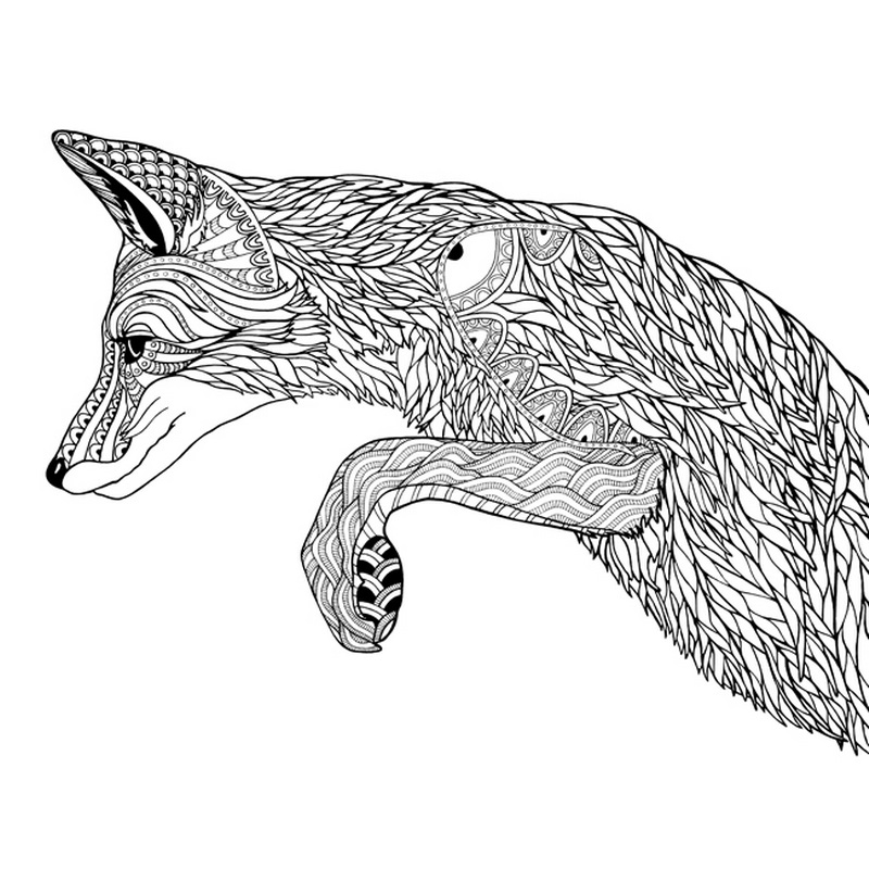 Pouncing Fox