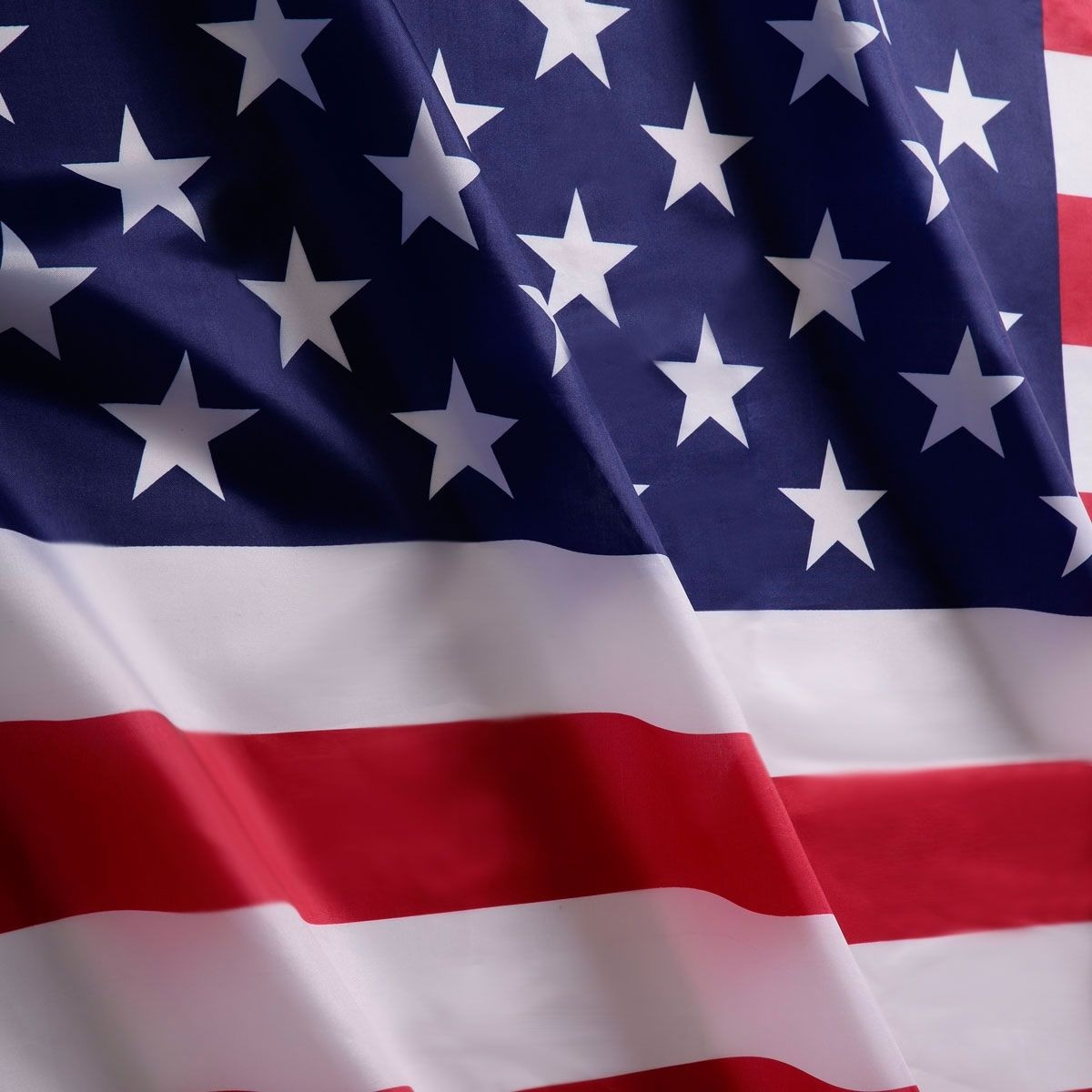 3 Ft. x 5 Ft. US American Printed Flag
