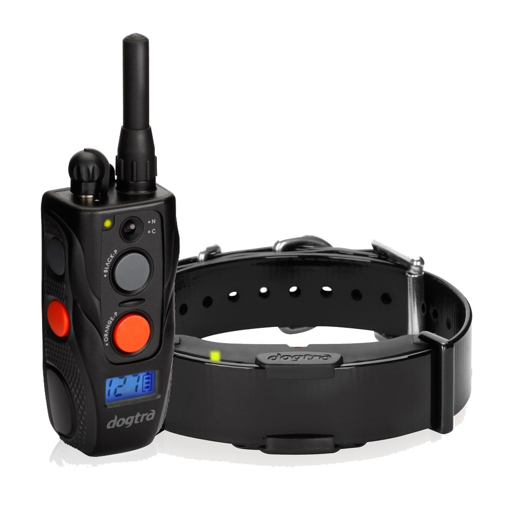 Dogtra ARC Remote Trainer