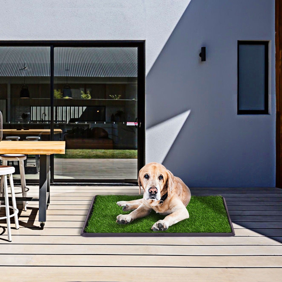 30 In. x 20 In. Pet Potty Training Toilet Grass Mat