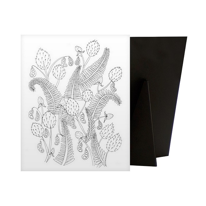 Ferns I I