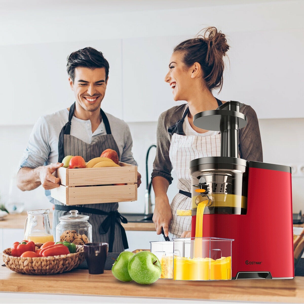 Wide Mouth Slow Masticating Juicer Extractor Machine