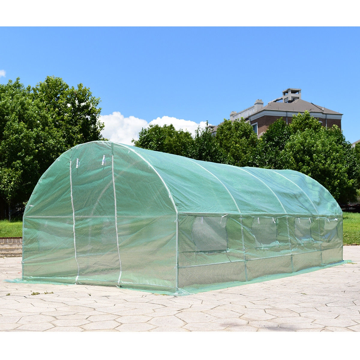10 Ft. x 6.5 Ft. x 20 Ft. 8 Windows Backyard Walk-In Greenhouse