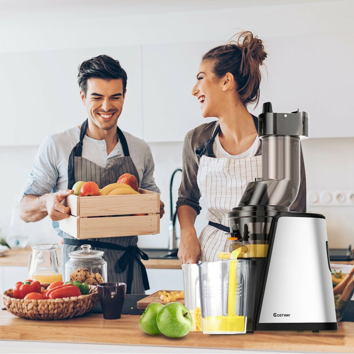 Stainless Steel Slow Masticating Juicer Extractor