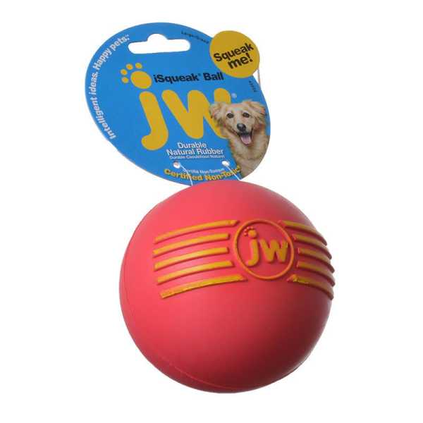 JW Pet i Squeak Ball - Rubber Dog Toy - Large - 4 in. Diameter