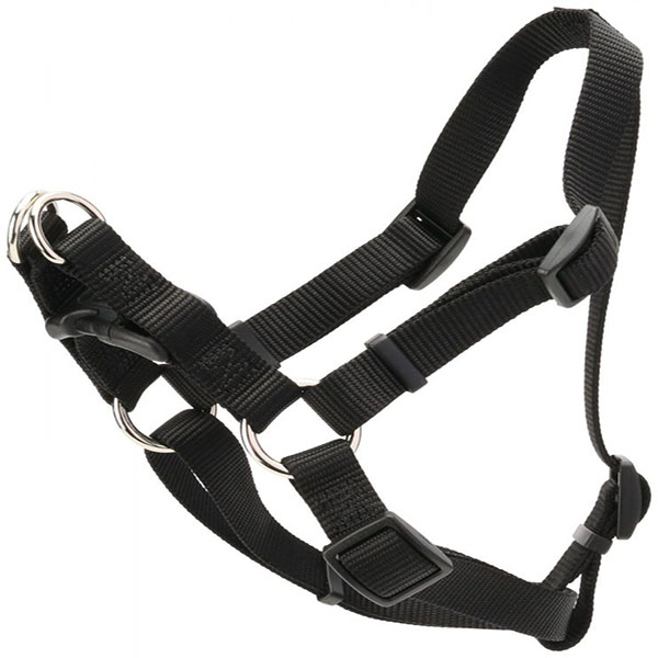 Coastal Pet Comfort Wrap Adjustable Harness - Black - Medium - Girth Size 20 in. - 32 in.