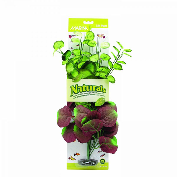 Marina Silk Penny wort Aquarium Plant - Red and Green - X-Large - 15 in. Tall