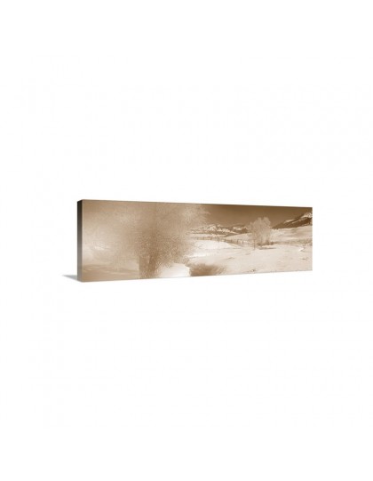 Auto Order Image