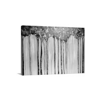 Light in the Leaves Wall Art - Canvas - Gallery Wrap